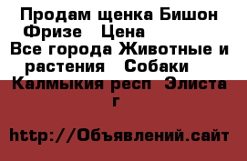 Продам щенка Бишон Фризе › Цена ­ 30 000 - Все города Животные и растения » Собаки   . Калмыкия респ.,Элиста г.